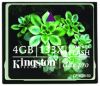 16gb 133x type kingston read