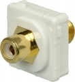 p4646whi female connector white flush