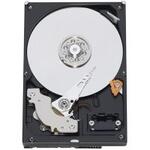 Western Digital,   808.8GB, 32M, IntelliPower, SATA2, Caviar Green Lucky Drive, WD8088AADS