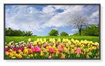 x462hb commercial response portrait landscape