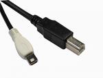 usb2cmab2 mini cameras digital usb2camb2