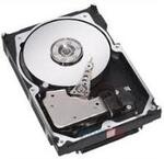 44w2294 nbsp product defined 146gb