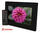 shintaro photo frame digital shdpf7v3