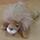 mvc-009e cleaner screen lion soft novelty