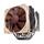 d14 noctua nh-d14 dual cooler built