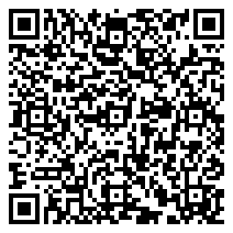 QR 2D RZ03-04981700-R3M1