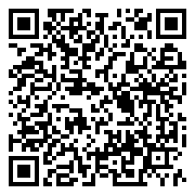 QR 2D PRESTIGE 16 AI+ EVO B2VMG-035AU