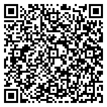 QR 2D ZBOX-CI675/8G/500G/W11P