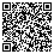 QR 2D FFCSANTFQXFN-512G