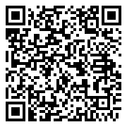 QR 2D 981-001513
