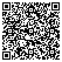QR 2D 99111001000-000100