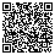 QR 2D CX4638-3913
