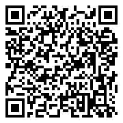 QR 2D PRESTIGE 14 FLIP AI+ D3MTG-012AU