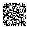 QR 2D 10010033