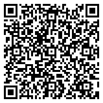 QR 2D ZBOX-CI331/8G/240G/W11P