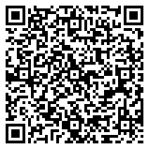 QR 2D 99101001000-304110