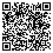 QR 2D PRESTIGE 14 AI EVO C2HMG-086AU