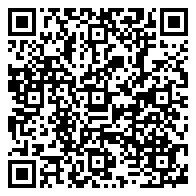 QR 2D EP2-85341