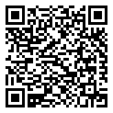 QR 2D FFCSANSDUNR-256G