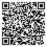 QR 2D BX806733104