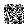 QR 2D 4099-419-299