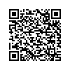 QR 2D C13T087390