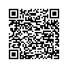 QR 2D DTSE9G3/512GB