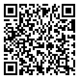 QR 2D P1006136