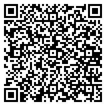 QR 2D SM-X300NZGES03