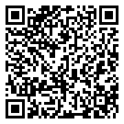 QR 2D EP2-55240