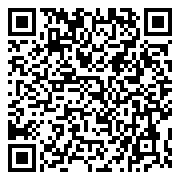 QR 2D ZJZ-00041