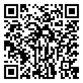 QR 2D EP2-55207