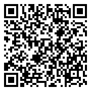 QR 2D EP2-55124