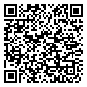 QR 2D 161-BBZP