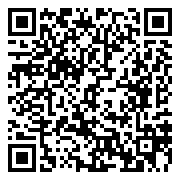 QR 2D SDG4/256GB