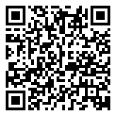 QR 2D DTDEG2/256GB