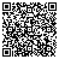 QR 2D P80417-B21