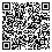 QR 2D FFCSANTFQXFN-256G