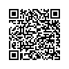 QR 2D E10G22-T1-MINI