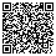 QR 2D ZLH-00041