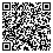 QR 2D DTXG2/256GB