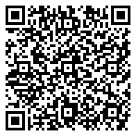 QR 2D EP2-82119