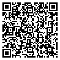 QR 2D P81004-B21