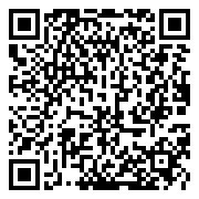 QR 2D EP2-54759
