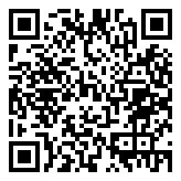 QR 2D BQ4N2PT