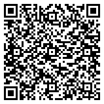 QR 2D CT4000BX500SSD1