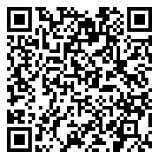 QR 2D 00AE938