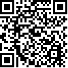 QR 2D PVDM4-256