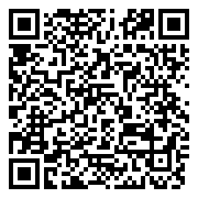QR 2D SDCG4/256GB