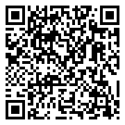 QR 2D 96101001001-000530